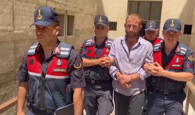 Ormanı yakan adam evinde uyurken yakalandı!