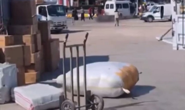 Ortalığı savaş alanına çevirdiler!