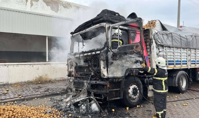 Patates yüklü TIR alevlere teslim oldu