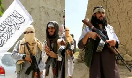 SIGAR: "Taliban yardımları almak için sahte örgüt kurdu"