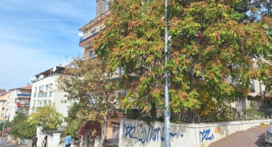 Tartıştığı iş arkadaşını bıçaklayarak öldürdü