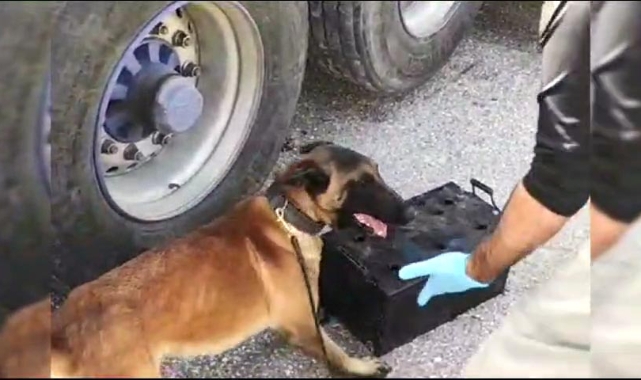 TIR'ın aküsünde uyuşturucu bulundu!