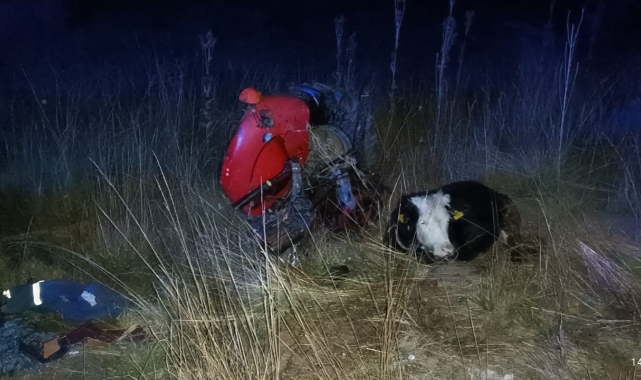 TIR park halindeki traktörü biçti: 2 ölü, 1 yaralı