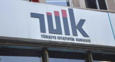 TÜİK: 2023'te bitkisel üretim artacak
