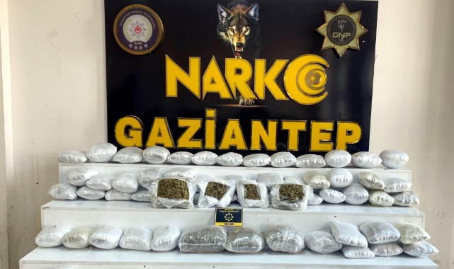41 kilo uyuşturucu, 1 tutuklama