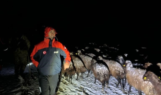 Ağrı'da mahsur kalan 3 çoban ve 3 bin koyun kurtarıldı