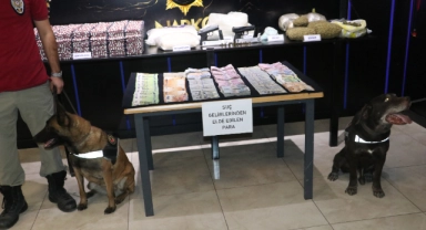 Ankara merkezli 32 ilde 'Narkogüç' operasyonunda, 102 kişi tutuklandı