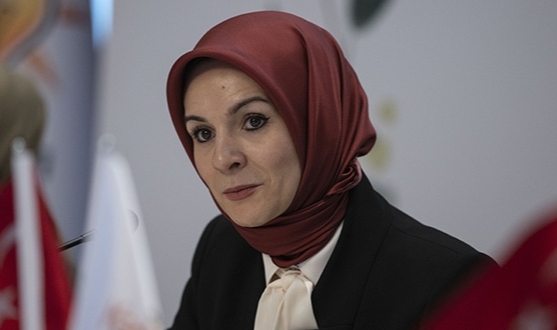 Bakan Göktaş: "Kadına yönelik şiddetle mücadele yasal altyapıyı güçlendiriyor"