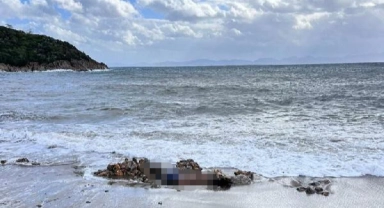 Bodrum'da biri sahilde diğeri denizde 2 ceset bulundu
