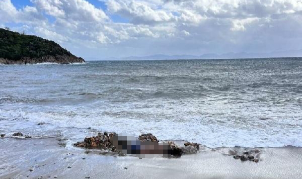Bodrum'da biri sahilde diğeri denizde 2 ceset bulundu
