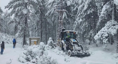 Bursa’da ağaç elektrik direğinin üzerine devrildi
