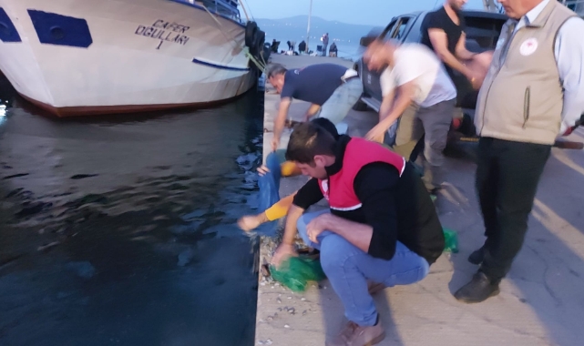 Bursa'da kum şırlanı avcıları kıskıvrak yakalandı!