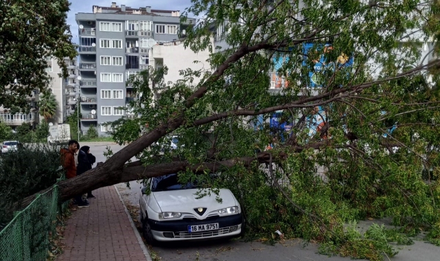 Bursa'da şiddetli rüzgar hayatı felç etti
