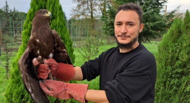 Bursa'da tedavi edilen kartal özgürlüğüne kavuştu
