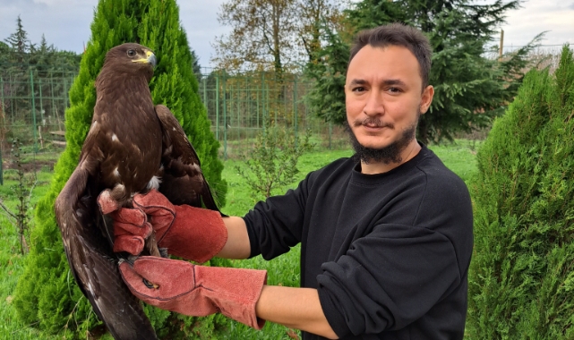 Bursa'da tedavi edilen kartal özgürlüğüne kavuştu