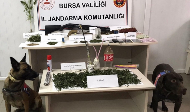 Bursa'da zehir tacirleri jandarmadan kaçamadı