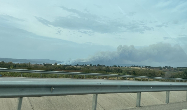 Çanakkale'de orman yangını! Müdahale ediliyor