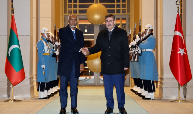Cumhurbaşkanı Yardımcısı Yılmaz, Cumhurbaşkanı ile görüştü