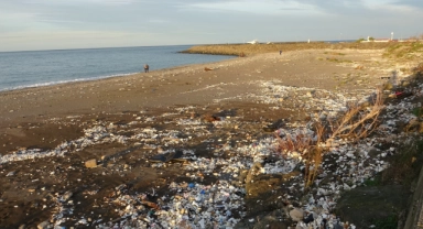 Dalgalar denize atılan çöpleri gün yüzüne çıkarttı