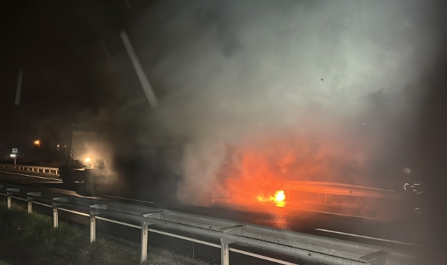 Düzce'de TIR alevlere teslim oldu