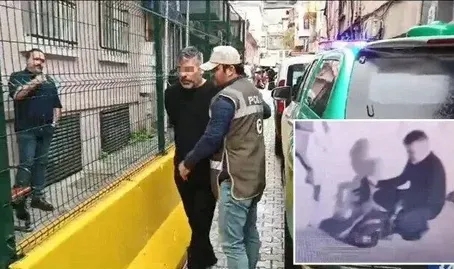 Fatih'te Yavru Kedi İşkencesi: Şüpheli Tutuklandı