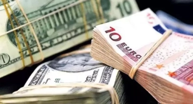 Google dövizi yine düşürdü: Dolar 24, Euro 25 TL oldu