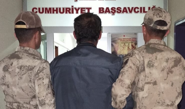 Hakkari'de kaçak göçmen operasyonu!