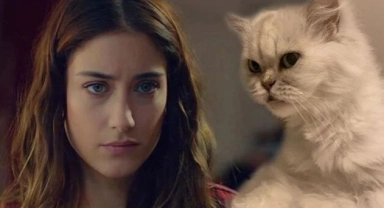 Hazal Kaya'dan 12 yıllık kedisi Leyla'ya veda