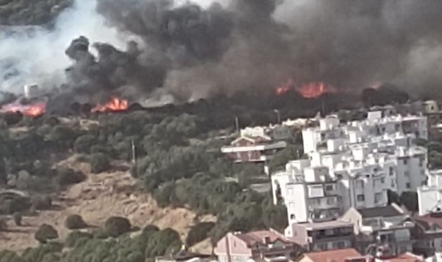 İzmir'deki yangın kontrol altına alındı