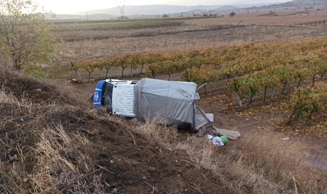 Kamyonet üzüm bağına devrildi: 5 yaralı