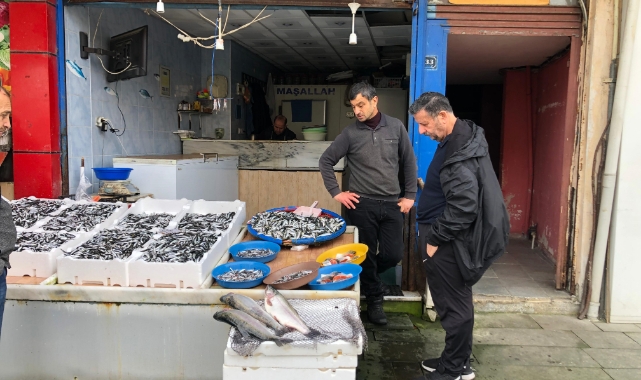 Karadeniz’de hamsi bolluğu sürüyor