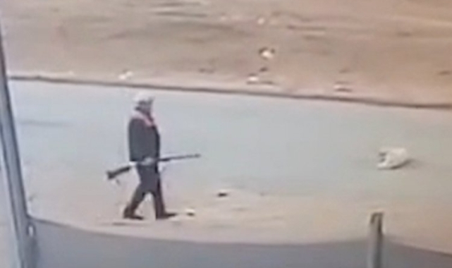 Kırıkkale'de sokak köpeğini av tüfeğiyle öldürmüştü, serbest bırakıldı!
