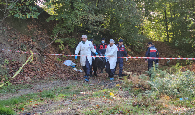Korkunç olay! Ormanda yanmış ceset bulundu