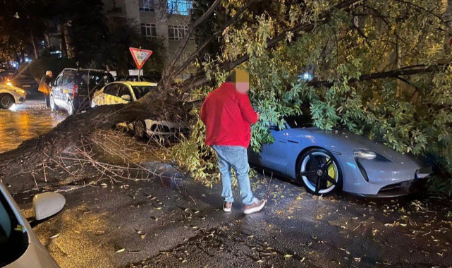 Lüks otomobilin üzerine ağaç devrildi