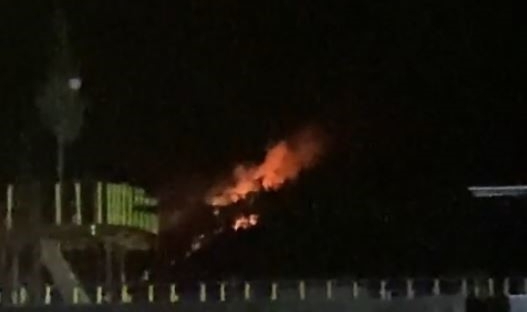 Marmaris’te orman yangını!