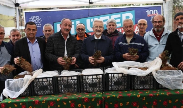 Nilüfer Belediyesi’nin desteğiyle çilek üretimi artıyor