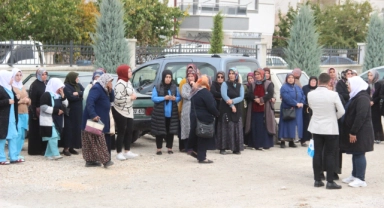 Ormandan topladıkları mantarlar canlarına mal oldu!