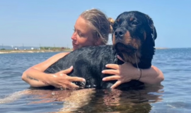 Sokakta yürürken kafasına köpek düştü!