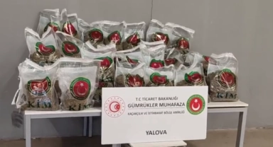 Yalova limanında uyuşturucu operasyonu!