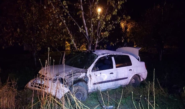 Yoldan çıkan otomobil ağaca çarptı