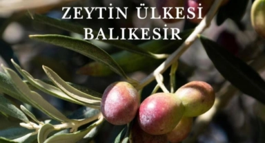 Zeytin ve ekmek kitapları Dünya Kitap Yarışması’nda