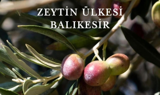 Zeytin ve ekmek kitapları Dünya Kitap Yarışması’nda
