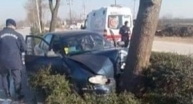 Ağaca çarpan sürücü hastanelik oldu!
