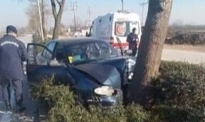 Ağaca çarpan sürücü hastanelik oldu!
