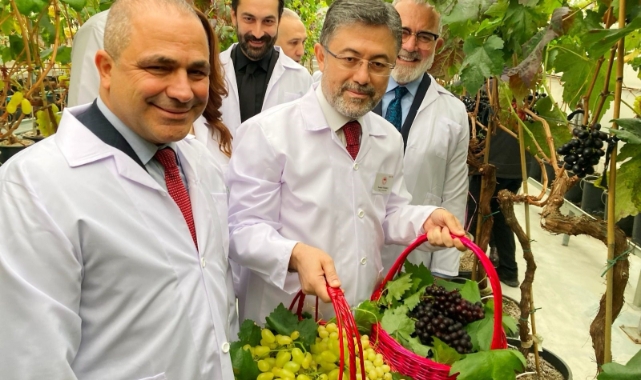 Alaşehirli üzüm üreticilerine müjde