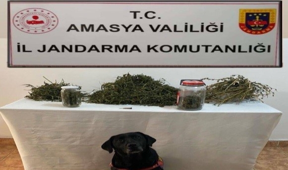 Amasya’da uyuşturucu operasyonu