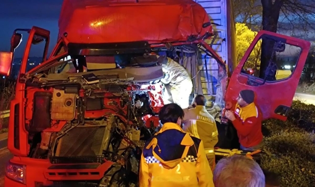 Bursa'da kontrolden çıkan TIR ağaca çarptı