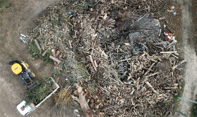 Bursa'da lodosta devrilen asırlık çınarları ihtiyaç sahipleri yakacak
