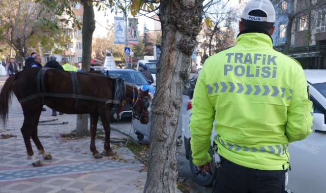 Edirne’de ilginç olay: Başıboş at 5 araca hasar verdi