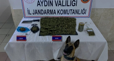 Jandarmadan uyuşturucu operasyonu!